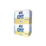unt nika gateste prajitura